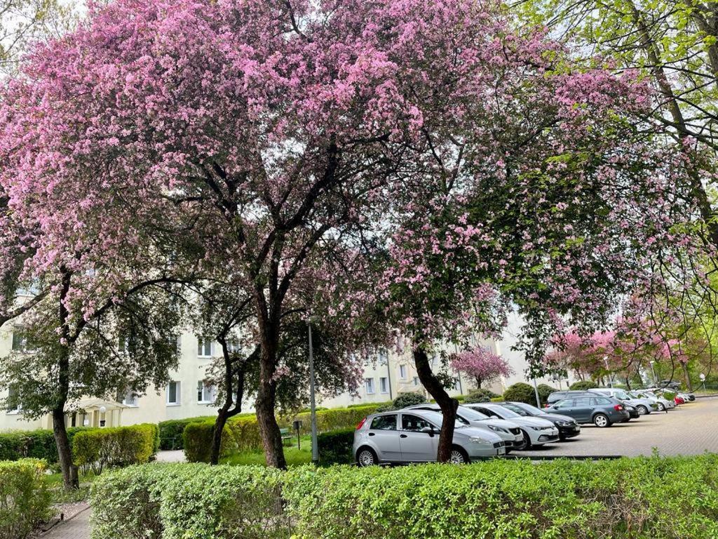 Apartament Rataja50 Olsztyn  Exteriör bild
